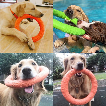 Flying Discs Bite Ring Toy