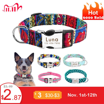 Nylon Dog Collar