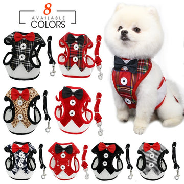 Traction Rope Pet Harness