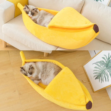 Funny Banana Cat House